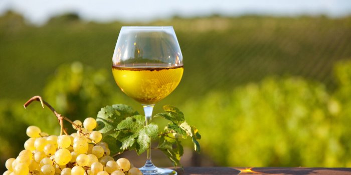 Minceur : les 6 vins les plus caloriques