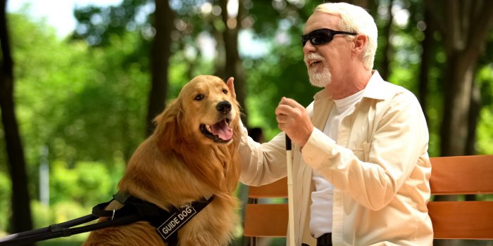 7 maniÃ¨res dont votre chien peut vous sauver la vie