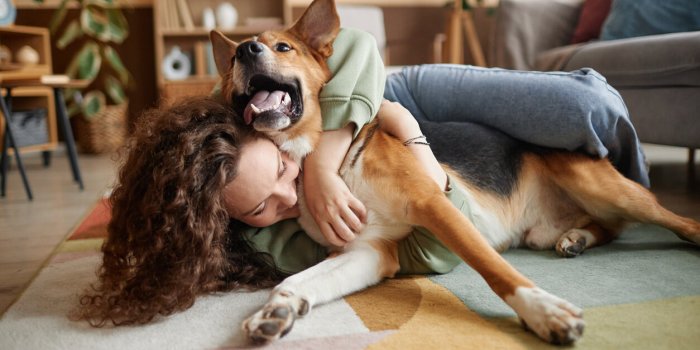 7 maniÃ¨res dont votre chien peut vous sauver la vie