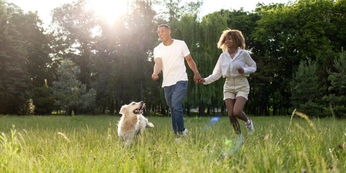 7 maniÃ¨res dont votre chien peut vous sauver la vie