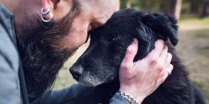 7 maniÃ¨res dont votre chien peut vous sauver la vie
