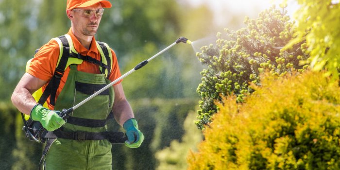 Sept raisons de consommer des légumineuses plus souvent