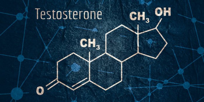 Dysfonction érectile : 10 moyens pour préserver vos érections