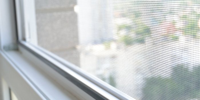 Piqûres de moustique : 7 astuces pour les éviter