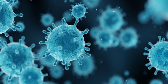 Poireaux : 6 bienfaits sur la santÃ©