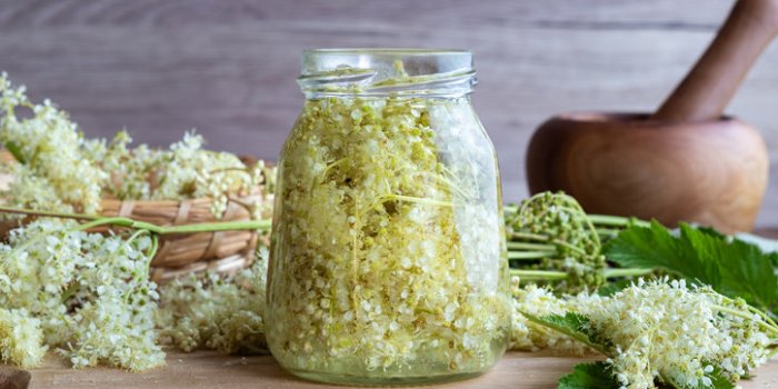 Gastro-entérite : 15 plantes qui soulagent