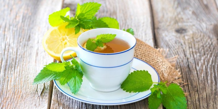 Gastro-entérite : 15 plantes qui soulagent
