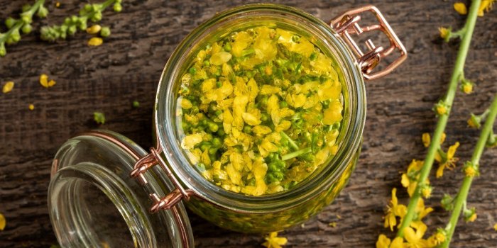 Gastro-entérite : 15 plantes qui soulagent