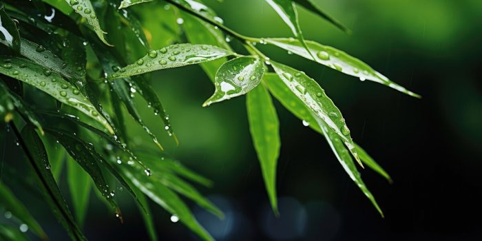9 bonnes raisons de marcher sous la pluie