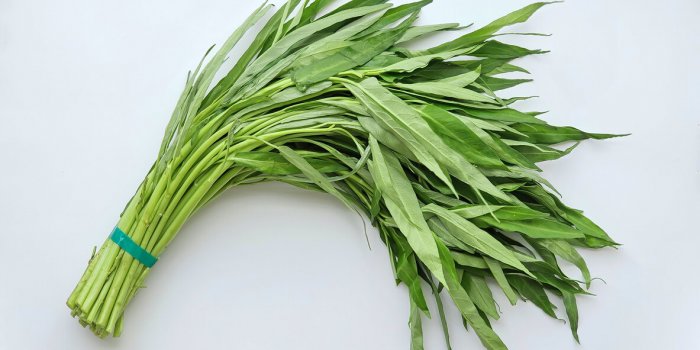 7 légumes dont le calcium est le mieux absorbé