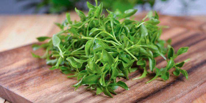 7 légumes dont le calcium est le mieux absorbé