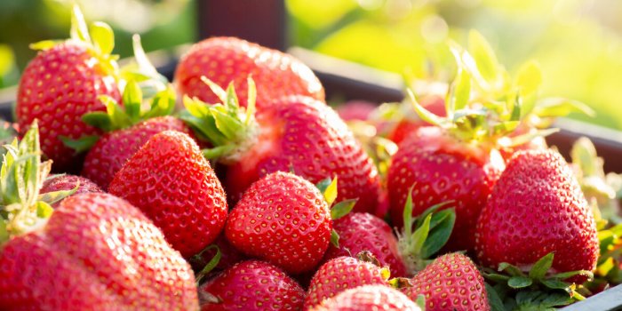 Diabète de type 2 : les fruits les moins sucrés à privilégier