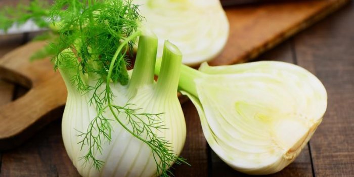 Le fenouil : juste un bol et un peu d"eau