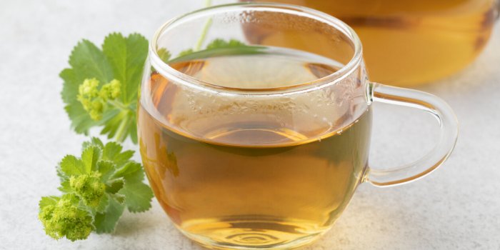 7 tisanes de la phytothérapeute à dégainer en cas de désagréments liés au cycle