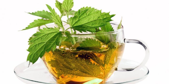 7 tisanes de la phytothérapeute à dégainer en cas de désagréments liés au cycle