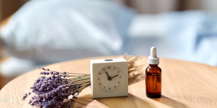 Bien dormir : 6 plantes Ã  mettre dans la chambre Ã  coucher