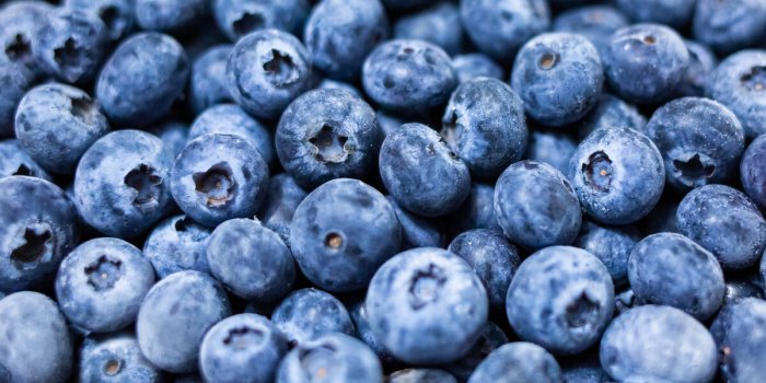 Les 6 meilleurs fruits surgelÃ©s pour perdre du poids