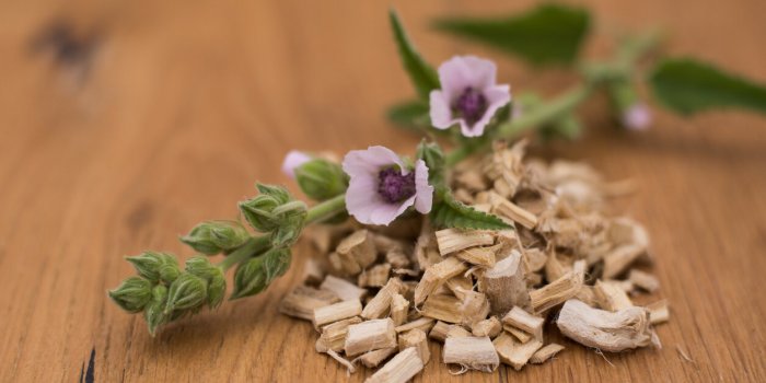 Bouffées de chaleur, sécheresse vaginale, déprimeâ¦Â 7 tisanes proposées par la phytothérapeute pour soulager les désagréments de la ménopauseÂ