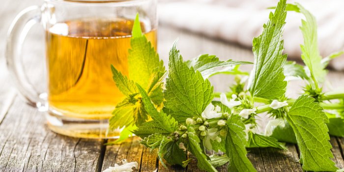 Bouffées de chaleur, sécheresse vaginale, déprimeâ¦Â 7 tisanes proposées par la phytothérapeute pour soulager les désagréments de la ménopauseÂ