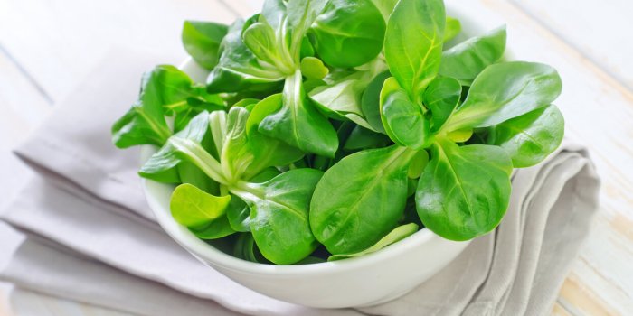 Des menus Pioppi, le nouveau régime santé