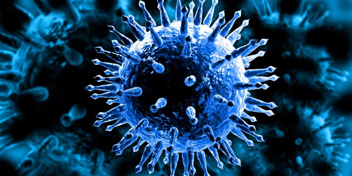 Pandémie : 6 virus qui pourraient ressurgir avec le réchauffement climatique
