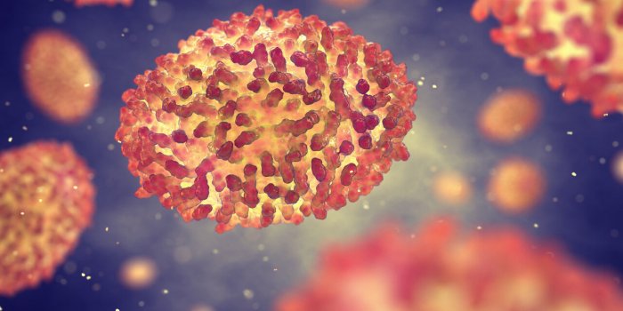 Pandémie : 6 virus qui pourraient ressurgir avec le réchauffement climatique
