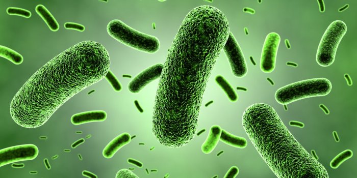 Pandémie : 6 virus qui pourraient ressurgir avec le réchauffement climatique