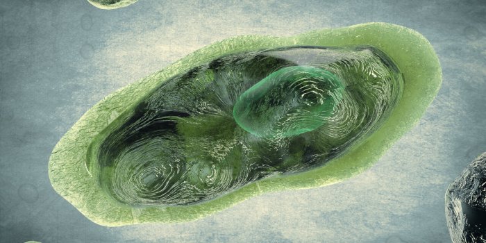 Pandémie : 6 virus qui pourraient ressurgir avec le réchauffement climatique