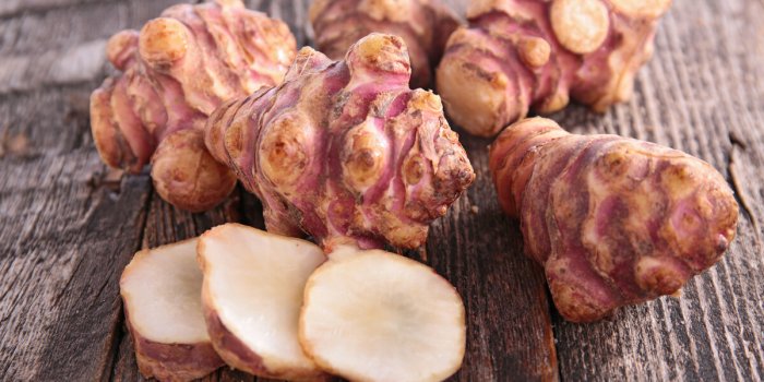 Prébiotiques : les 5 aliments les plus bénéfiques pour nos intestins