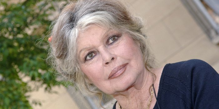 l'ancienne actrice brigitte bardot rencontre le ministre de l'agriculture et de la pÃªche, dominique bussereau, Ã  paris