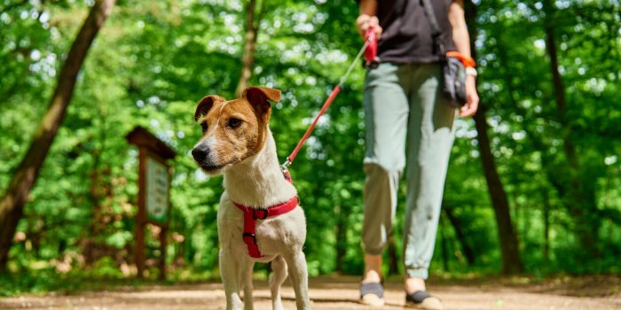 Mal dormi ? 7 conseils dâexperts pour survivre à votre journée