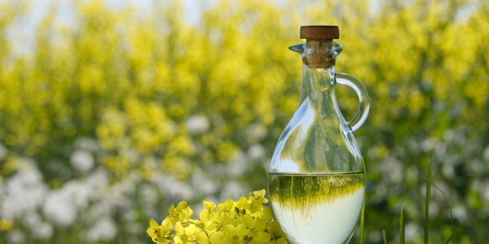 5 huiles saines pour cuisiner (et celles Ã  Ã©viter)