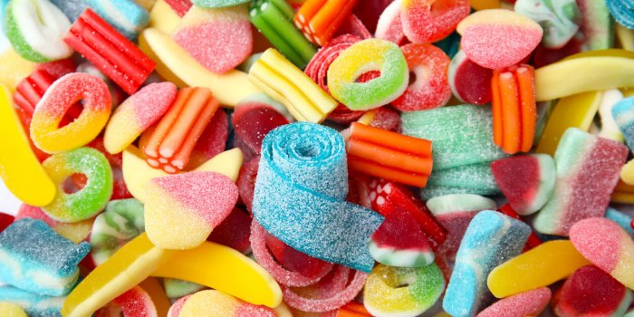 Les animaux en raffolent pendant les fêtes, ces aliments sont pourtant dangereux