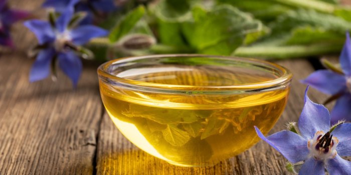 Vieillissement : 10 plantes anti-âge