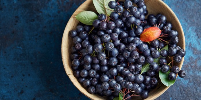Vieillissement : 10 plantes anti-âge
