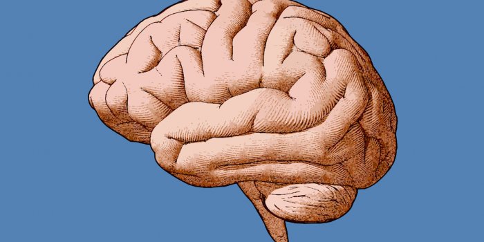 7 symptômes de métastases selon la partie du corps