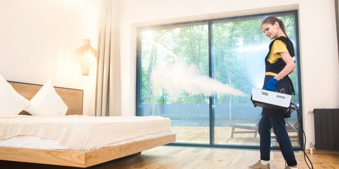 Punaises de lit : quelles précautions prendre lorsque lâon reçoit des invités chez soi ?