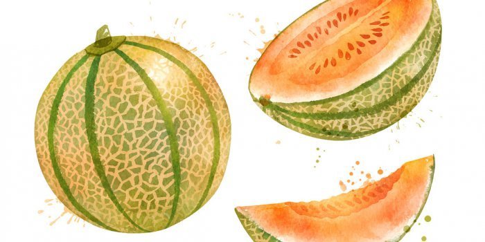 Quels fruits pour avoir un ventre plat ?