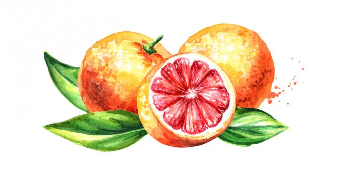 Quels fruits pour avoir un ventre plat ?