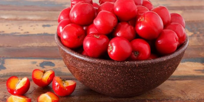 Les 15 aliments les plus riches en antioxydants