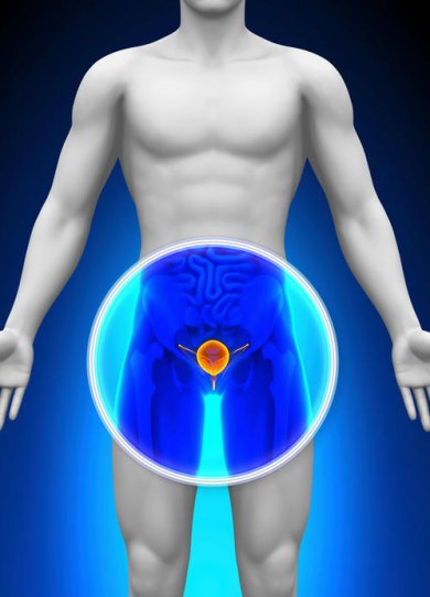 9 choses que vous ne savez pas sur la prostate