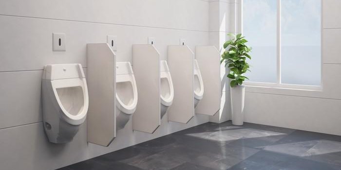 9 choses que vous ne savez pas sur la prostate