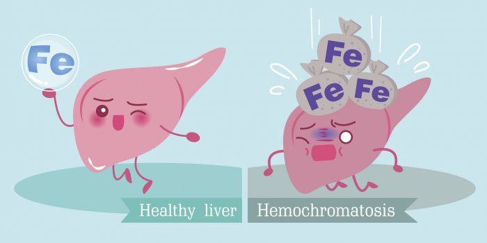 liver with health concept on the green background