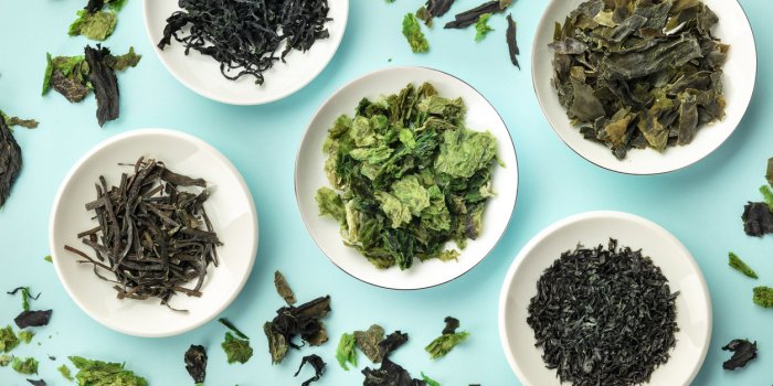 15 aliments qui fortifient les cheveux