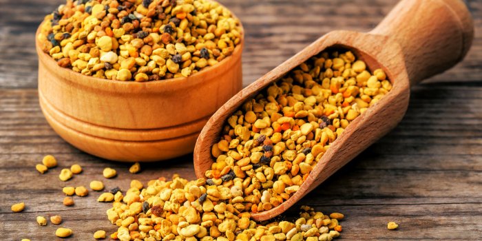 Alzheimer : les aliments riches en vitamine B9 vous protègent