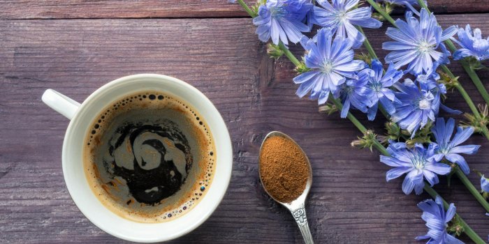 Fatigue : 10 boissons pour remplacer le cafÃ©