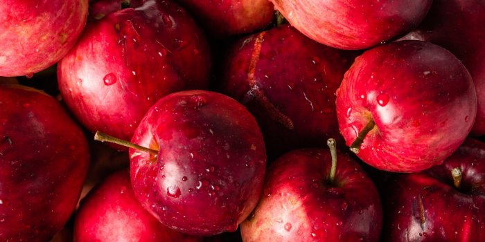 Automne : 5 aliments pour rester en bonne santé malgré le froid