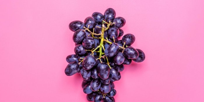 Cancer de la prostate : une étude préconise les aliments riches en lycopène et sélénium