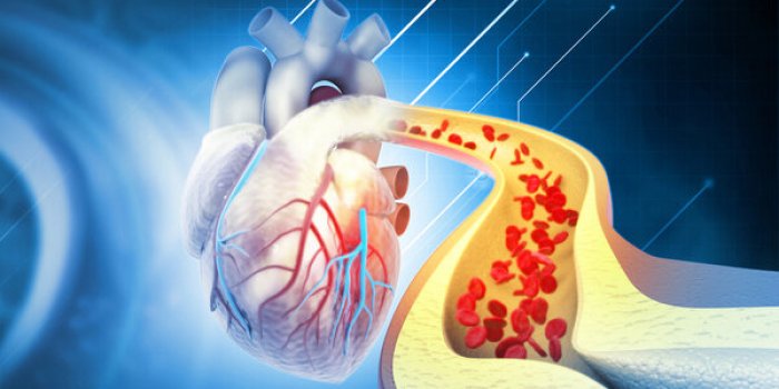 7 signes que vous ne mangez pas assez de fibres
