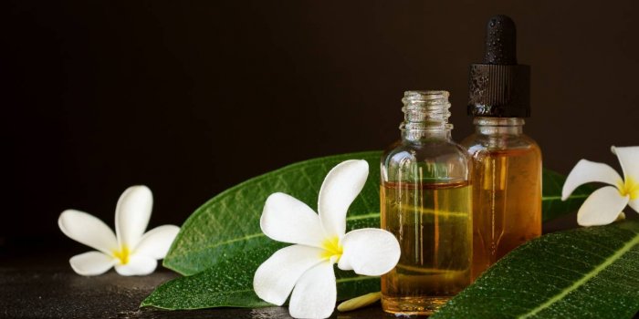 Vacances : les 7 huiles essentielles indispensables